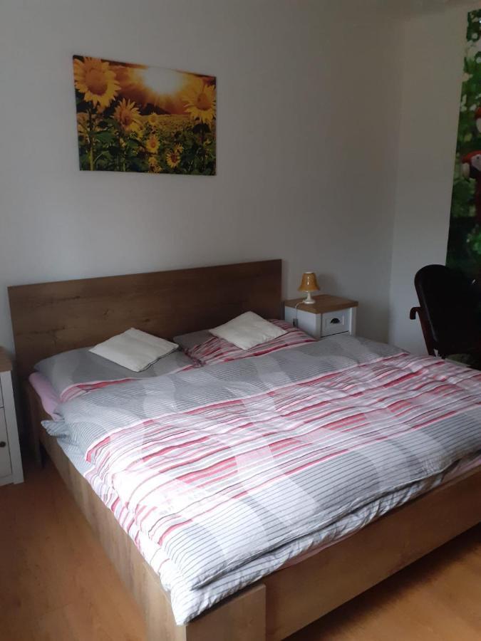 Apartman Ema Sloup  Exterior foto